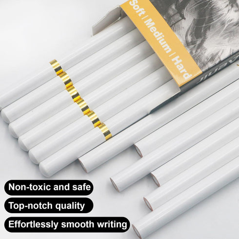 White Charcoal Pencils, Pack of 12 Charcoal Drawing Pencils, Charcoal Pencils for Artists, Art Supplies for Drawing and Highlighting, Charcoal Pen...