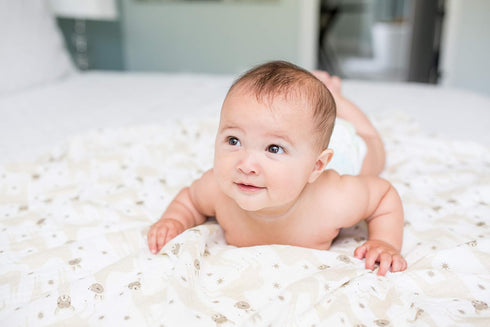 lulujo Baby 100% Cotton Muslin Swaddle Blanket, 47 x 47-Inches, Modern Llama (LJ464)...