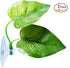 3 Pack Betta Fish Leaf Pad Improves Betta's Health by Simulating The Natural Habitat - Natural, Organic, Comfortable Rest Area for Fish Aquarium...