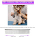 Dog Grooming Scissors Kit, Fcysy Professional Dog Trimming Scissors Set, Hair Cutting Scissors for Pet Dog Cat Grooming at Home, Curved Dog Scisso...