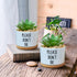 Funny White Ceramic Engraved Mini Succulent Cactus Planter Pot, 1 Pack 3.5 inch Succulent Indoor Flower Plant Pots with Bamboo Tray for Home Offic...