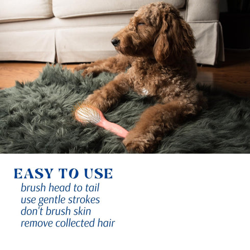 Pet Grooming Detangler Pin Dog Brush For Shedding and Removing Loose Fur, Premium Lightweight Wood with Gold Plated Pins for Long Hair (Pin Brush ...