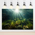 Aquarium Background Aquatic Plants Roots Lush Seagrass Terrarium Background Underwater Green Plants Branches Sunlight Rays Fish Tank Backdrop Jung...
