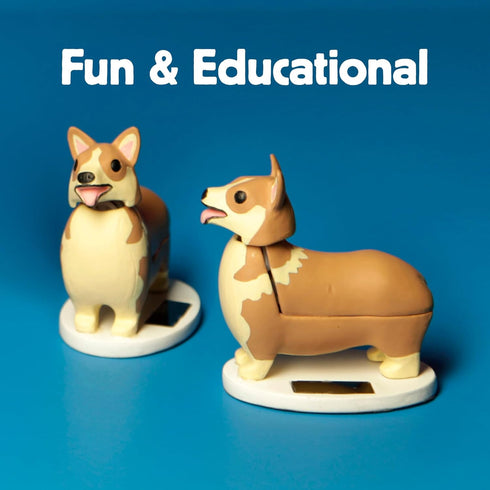 Kikkerland Solar Powered Corgi Dog Figurine: Fun Animal Decor for Home & Kitchen, Office Desk, Garden, Car – Great Novelty Toy Statue, Display She...