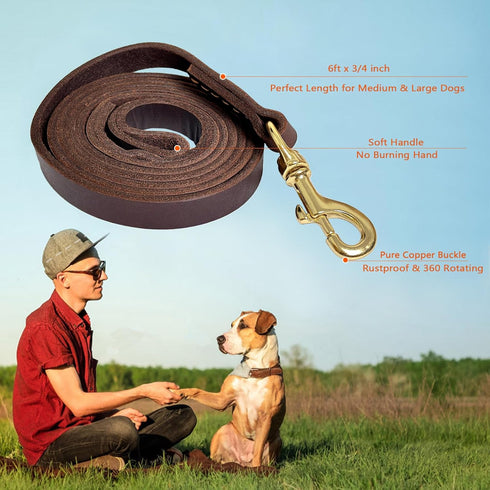 Guiding Star Leather Dog Leash 6ft, Dog Leashes for Large Dogs Heavy Duty, Soft Handmade Leather Training Leash for Large & Medium Dogs (6ftx3/4in...