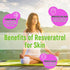 Sugar Free Resveratrol Gummies 1500mg - High Purity Resveratrol Supplement for Antioxidant, Healthy Aging, Skin, Brain, Organic - 60 Gummies...