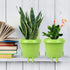 2-Pack Smiling Cute Plant-Pots - Plastic Funny Face Flower Pots with Drainage, Unique Cute Planters for Indoor Plants, Gifts for Plant Lovers...