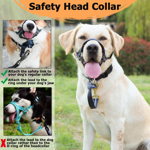 BARKLESS Dog Head Collar, No Pull Dog Halter with Soft Padding, Reflective Training Tool for Medium Large Dogs, Labrador, Stops Heavy Pulling and ...
