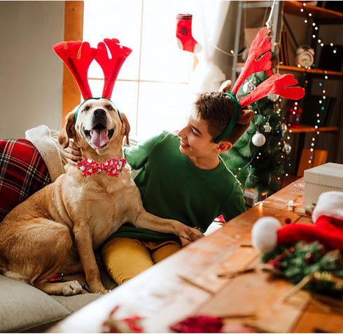 Lionheart glory Christmas Dog Bow Collar Santa Print Bow Dog Collar Girl or Boy Dog Bow tie Collar Pet Gift Adjustable Dog Collar for Large Dog...