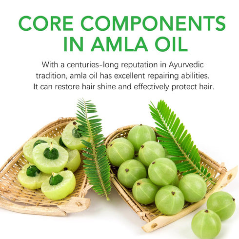 Amla Hair Repair Oil, Restores Dry & Damaged Hair, Make Hair Silky, Smooth, and Shiny, Enhances Softness & Elasticity, Instant Scalp Hydration, 40...