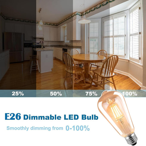 HESSION ST64 LED Edison Bulbs, 4W Equivalent 40W, Soft Light Amber Glass 2700K, LED Filament Bulbs with 90+ CRI E26 Medium Base, Dimmable Light Bu...