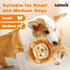 Squeaky Dog Toys, Cute Lionet with Rope for Teething, Sturdy Dog Chew Toys for Small and Medium Dogs...