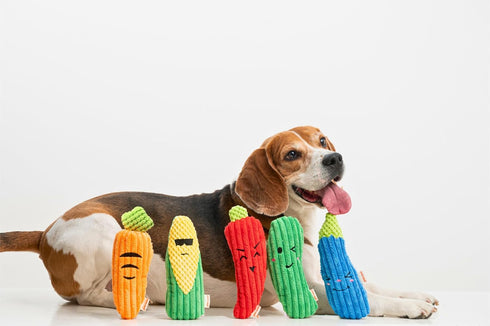 Squeaky Dog Plush Toy, Bite_Stick Collection, 8'', for Small and Medium Dogs (Eggplant)...