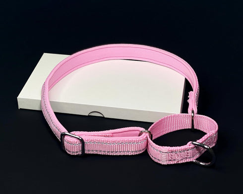 Martingale Dog Collars, Reflective Safety Puppy Collar, Adjustable Soft Nylon Training Dog Collar,Metal Accessories Heavy Duty No Pull Pet Collars...