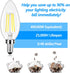 LED Candle Bulbs 40W Equivalent, E12 Candelabra Light Bulbs 4W 470Lm Clear Edison LED Bulbs, Daylight White 5000K Classic Bright Filament Bulbs, N...