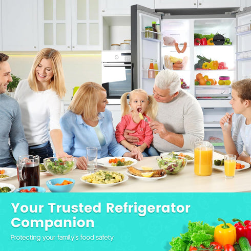 Fridge Deodorizer, 20-Minute Efficient Refrigerator Deodorizer Odor Eliminator, 12x Extended Freshness, More Effective Than CH-CUT and Baking Soda...