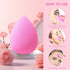 6 PCS Makeup Sponges Set, Makeup Sponges for Foundation, Latex Free Beauty Sponges, Flawless for Liquid, Cream and Powder, Pink...
