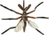 Safari Ltd. Life Cycle of a Mosquito - Educational Toy Figurines - Miniature Insect Lifecycle Collection for Boys, Girls & Kids Age 4+...