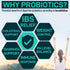Digestive Enzymes with Probiotics and Prebiotics - Gut Health & Digestion Supplement with Artichoke Ginger Turmeric – Vegan Enzyme Complex for Dig...