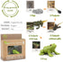 Mbrain5pcs Frog Growth Cycle with Flash Cards,Life Cycle Learning & Education Toys,Montessori Toys,Gift for Girl & Boy for 3 4 5 6 7 Year Old (Fro...