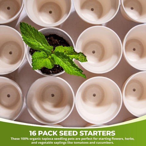 Americas 3.5" Biodegradable Plant Pots (16 Pack): Eco-Friendly Seed Starter Kit with Tapioca Starch for Nutrient-Enriched Soil...