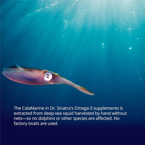 Dr. Sinatra Clinical Grade CalaMarine Omega-3 Supplement with DHA and EPA for Brain, Heart, and Eye Health (60 softgels)...