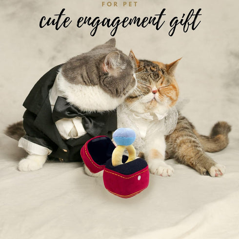 Squeak Plush Toy, Interested Diamond Ring Case, Stuffed Pet Chew Soft Pet Supplies Dog Toy for Dog Wedding...