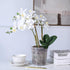 TRUEDAYS 4 Pack Orchid Pots with Holes, 6 Inch Clear Plastic Pots for Plants, Flowers...