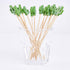 PuTwo Cocktail Picks Handmade Bamboo Toothpicks 100pcs 4.7” in Green Cacti...