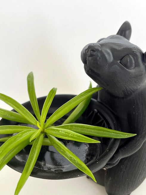 Black Epoxy Pigment (Colorant, Dye, Tint) 6cc (0.2 oz.)...