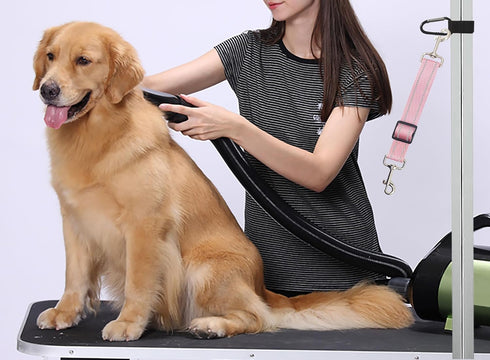 Pet Dog Grooming Arm Accessories Supplies Compatible for Groomers Helper Grooming Loop Dog Grooming Extension Strap Adjustable Dog Grooming Table ...
