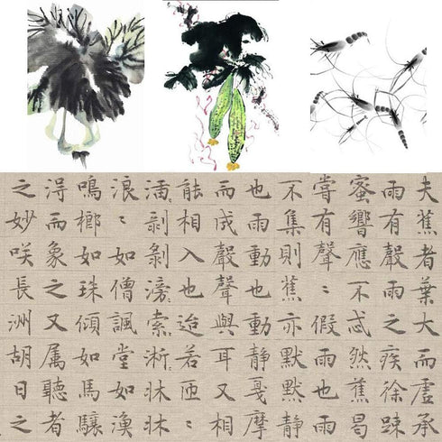 Chinese Calligraphy Brush Set - Watercolor Sumi Drawing Brushes for Writing & Painting - Pack of 8...