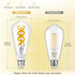 DiCUNO Smart Edison Bulb ST64, Color Changing WiFi Smart Light Bulb, Vinatge ST21 Filament Bulb Work with Alexa & Google, Dimmable with App, 50 Wa...