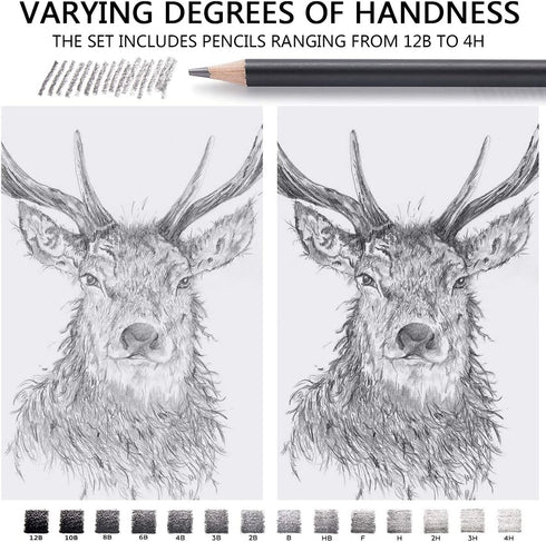 Professional Drawing Sketching Pencil Set - 14 Pieces,Graphite,(12B - 4H), Ideal for Drawing Art, Sketching, Shading, Artist Pencils for Beginners...