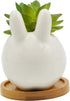 Succulent Pots,3.14 Inch Tall Cute Bunny Shaped Cartoon Ceramic Succulent Cactus Flower Pot with Bamboo Tray -Plant Not Included...
