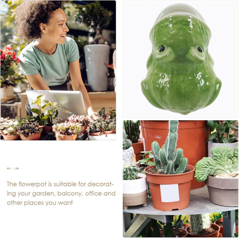 Frog Succulent Pot Cute Animal Pen Holder Cup Ceramic Funny Frog Statue Planter Novelty Cactus Flower Pot for Miniature Plant Holder Home Garden O...