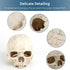 Uniclife Aquarium Skull Reptile House Decor Resin Head Skeleton Ornament for Tank Landscape Decorative Hideout Cave Shelter for Small Fish Shrimp ...