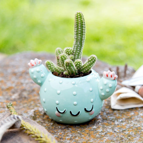 Smiley Cactus Ceramic Planter, 3 x 4 x 4 in., Exclusive Ceramic Planters for Indoor and Outdoors, Cute Hand Painted Designed in Argentina, Conveni...