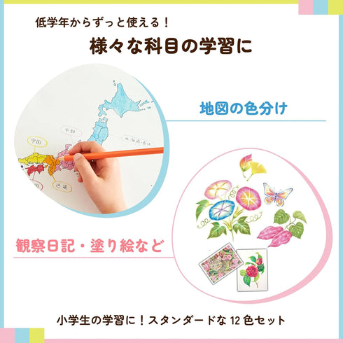 Sakura Crepas GPY12 Colored Pencils, 12 Colors, Elementary School Stationery...