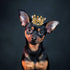 PET SHOW 2pcs Small Dog Crown Headband Puppies Rabbit Cat Hat for Birthday Party Silver Gold Rhinestone Faux Pearl Crown for Boy Girl Wedding Hair...