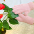 Evridwear Microfiber Gloves for Plant Dusting,Reusable Leaf Cleaning Glove for Houseplants,Blinds,Furniture and Small Objects...