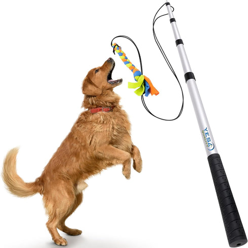 Flirt Pole for Dogs - Safe & Strong for Large Breeds w/Non-Bungee Cord - Spring Pole for Tug of War, Interactive Play & Puppy Training - Heavy-Dut...