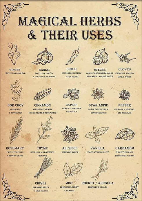 Wither Kitchen Witch Tin Sign Magical Herbs And Their Uses Witchy Retro Metal Poster Cafe Bar Pub Home Wall Decoration Poster Plaque 12x8 Inches...