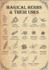 Wither Kitchen Witch Tin Sign Magical Herbs And Their Uses Witchy Retro Metal Poster Cafe Bar Pub Home Wall Decoration Poster Plaque 12x8 Inches...