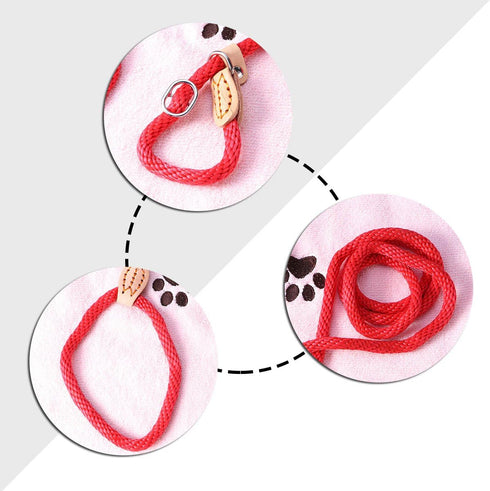 POPETPOP Nylon Dog Slip Training Leash Collar Rope for Pets Training (Red)...