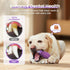 HGB Squeaky Dog Toys for Aggressive Chewers, Tough Indestructible Dog Chew Toy for Large Medium Dogs, Interactive Dog Toys to Keep Them Busy, Dog ...