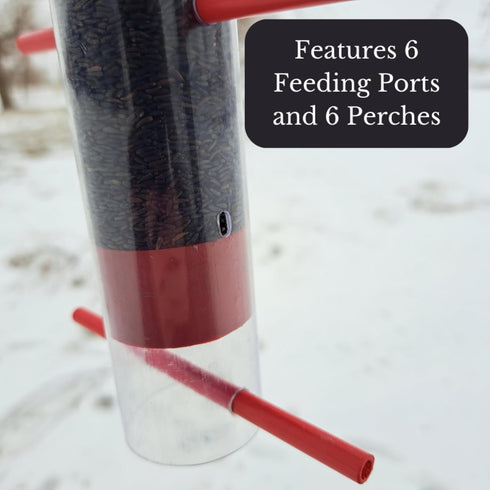 Songbird Essentials Finches Favorite Thistle Feeder, Red 12 Inch Single Tube Bird Feeder, 1 Cup Capacity Hanging Bird Feeder for Thistle Seed [Pac...