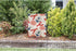 Moslion Ocean Garden Flag 12.5x18 Inch Marine Sea Animal Lobster Nautical Anchor Coral Yard Flag Burlap Banners Vertical Double Sided for Farm Hou...