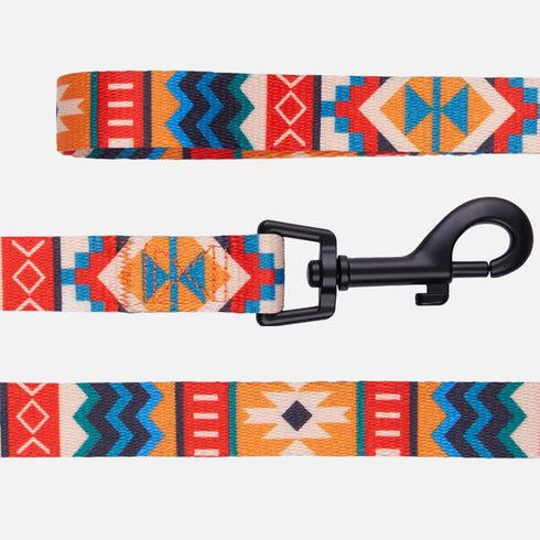 CollarDirect Nylon Dog Leash 5ft Tribal Pattern Durable Walking Pet Leashes for Dogs Small Medium Large Puppy (Pattern 3, L, New)...