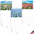 The Best Card Company - 20 Landscape Nature Note Cards Blank (4 x 5.12 Inch) (10 Designs, 2 Each) - Super Blooms AM7175OCB-B2x10...